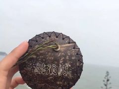 -漳州滨海火山岛自然生态风景区