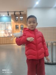 -Moni星球萌宠·小马宝莉·灵蛇·高端高阶全萌宠互动体验俱乐部(红豆国际广场店)