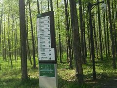 -黄海国家森林公园