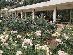 -人民公园(罗湖区)