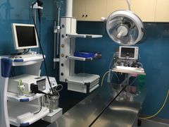 -爱诺耐芙动物医院(万博店)