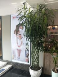 -爱儿美儿童摄影(朝阳公园店)