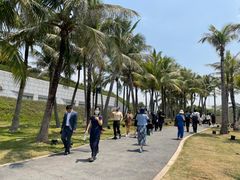 -欢乐海岸椰林沙滩-2025湾区超级灯会