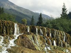 -黄龙山原始森林景区