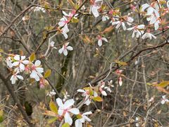 -终南山南五台景区