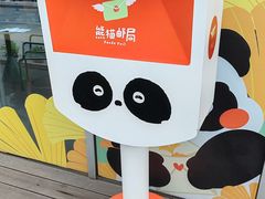 -轩客会(熊猫书店)