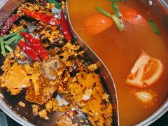 -呷哺呷哺(望京新世界店)