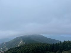 -白草畔自然风景区