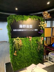 点击看大图 -藤野造型