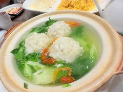 -丁老爷子苏香圆