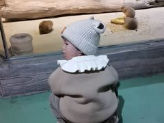 -苏州海洋馆