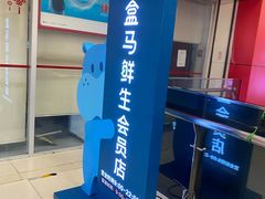 -盒马鲜生(大成店)