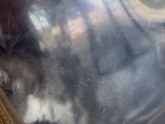 -艾贝尔宠物医院·24H转诊中心·肿瘤猫专科(江宁双龙店)