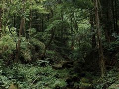 -素山寺森林公园