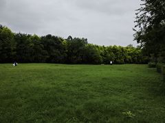 -白鹭湾湿地公园