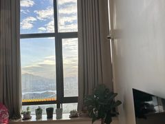 -八号公馆·老上海SPA(深圳北站店)