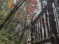 -塔云山