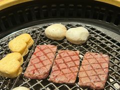 -虎哥六韩式烤肉料理 TIGERGRILL(隆生金山湖中心购物广场店)
