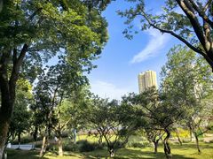 -宁波儿童公园(鄞州区)