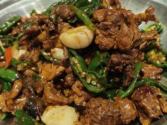炒鸡-七百岁羊肉馆(环球港店)