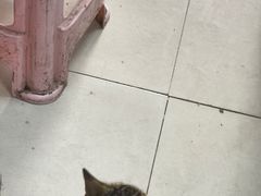 -江三王记牛杂馆(总店)