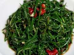 -十二毡房蒙餐·蒙古包