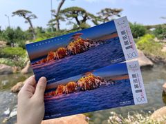 -罗红摄影艺术馆