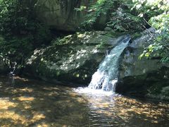 -青峰峡国家森林公园