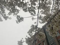 -河南财经政法大学(郑东校区)