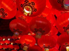 -南宫五洲植物乐园