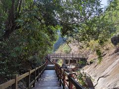 -广州白江湖森林公园