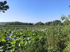 -云龙湖旅游景区