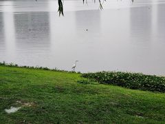 -南翔镇银翔湖公园