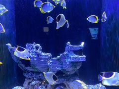 -成都浩海立方海洋公园