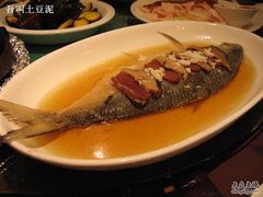 酒酿鲥鱼-新南华大酒店(广中店)