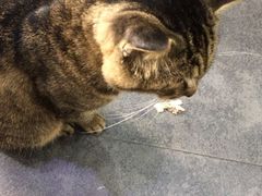 -随柳居·苏式小吃(建新巷店)