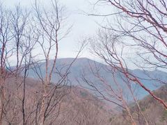 -秦岭风景区