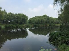 江湾湿地公园-新江湾城公园