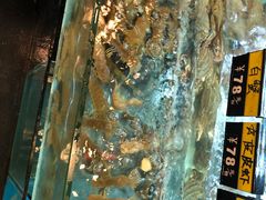 -阿马蛋汤·宁波小海鲜(总店)