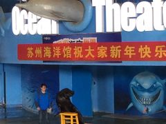 -苏州海洋馆