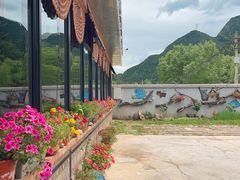 -遇见小院—虹鳟鱼•农家菜(怀柔店)