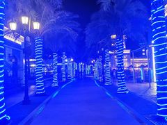 -三亚海昌梦幻海洋不夜城