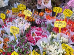 -循礼门鲜花花市(武汉循礼门店)