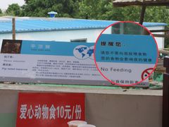 -西霞口神雕山野生动物世界