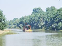 -合肥滨湖国家森林公园