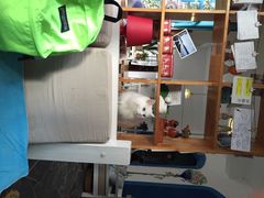 iphone_upload_pic-Anne猫窝咖啡屋