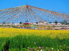 -青海湖国家重点风景名胜区