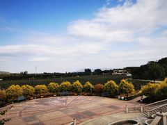 -北京张裕爱斐堡酒庄