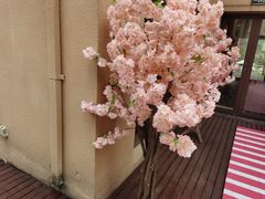 -重庆南山海昌汤都