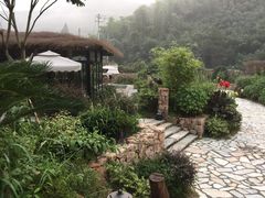 -看见远方·莫干遥远的山民宿